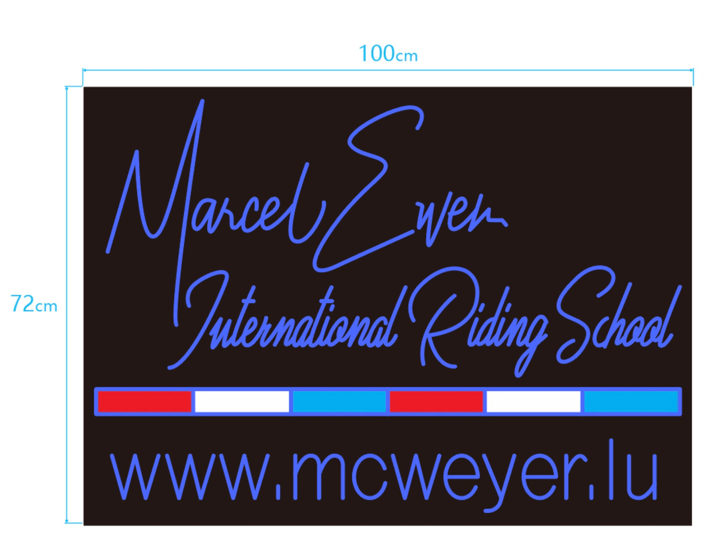 Nicolle Z. x NeonWorld