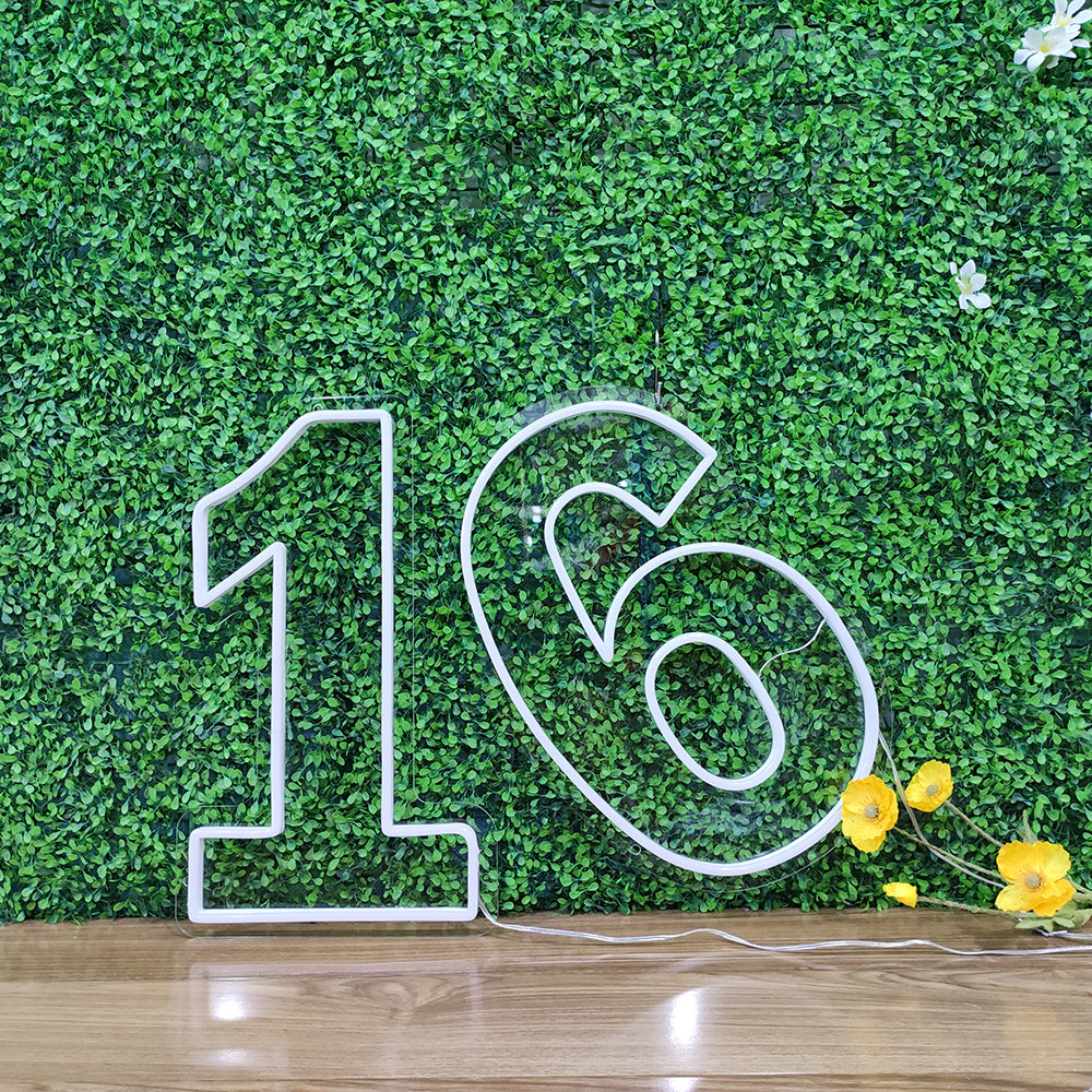 Led neon sign - Led neon bord - op maat gemaakt - custom - meerdere kleuren - figure(s) - number - 16 led neon sign